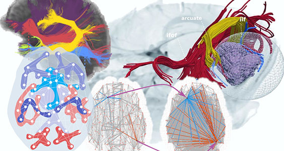 DiCIPHR Lab graphic